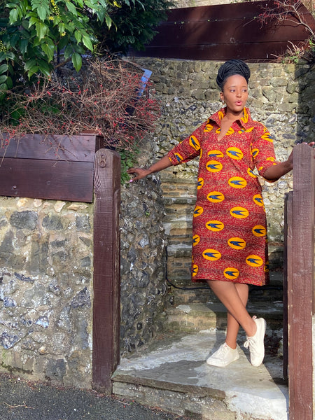 Nona bird print shirt dress